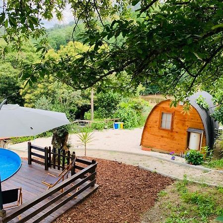 Gallas Pod House Vouzela Dış mekan fotoğraf