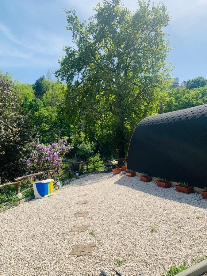Gallas Pod House Vouzela Dış mekan fotoğraf